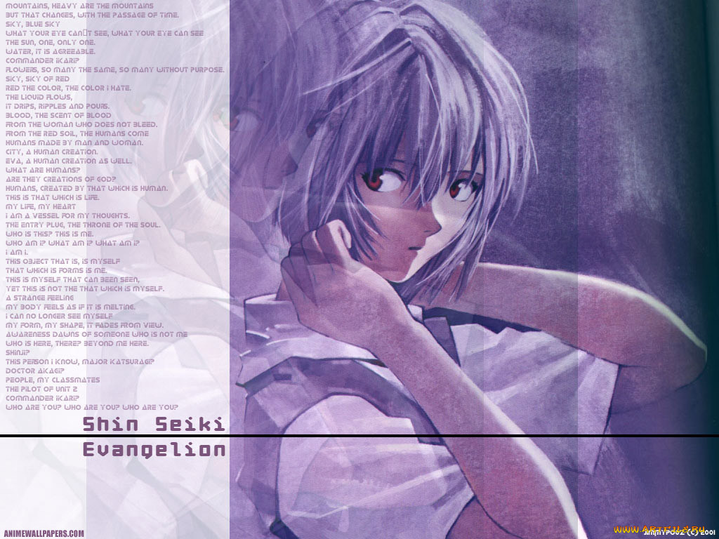 , evangelion